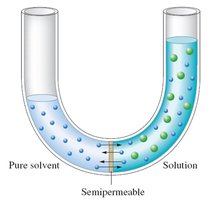 Osmosis: solvent movement across membrane
