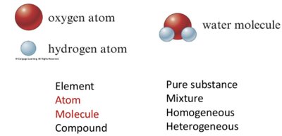 Oxygen atom, hydrogen atom, water molecule