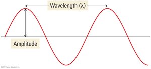 Diagram showing amplitude and wavelength of a wave