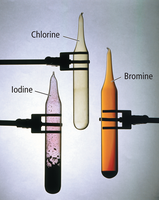 Physical appearance of chlorine, bromine, and iodine