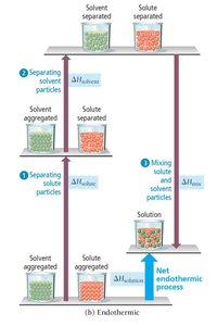 Energetics of solution formation: endothermic