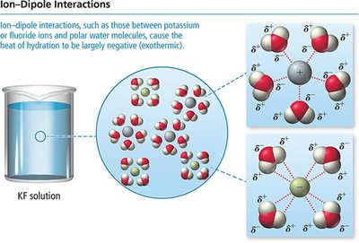 Ion-dipole interactions in solution