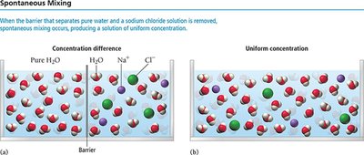 Spontaneous mixing of water and sodium chloride solution
