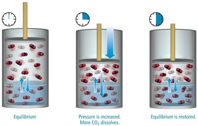 CO2 solubility equilibrium restored after pressure change