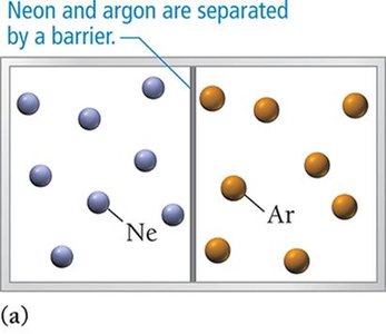 Neon and argon separated by a barrier
