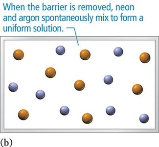 Neon and argon mix spontaneously after barrier removal