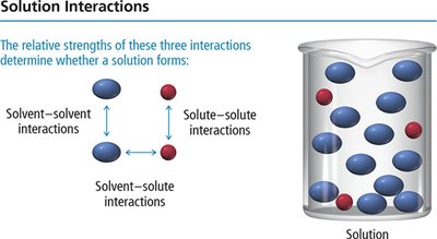 Diagram of solution interactions