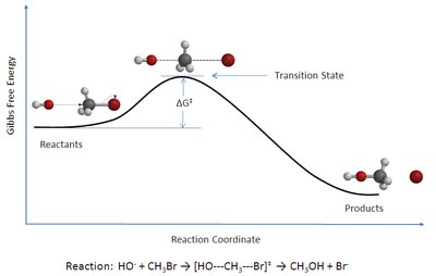 Reaction coordinate diagram showing transition state and ΔG