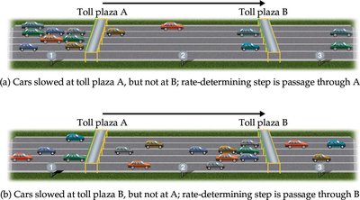 Toll plaza analogy for rate-determining step