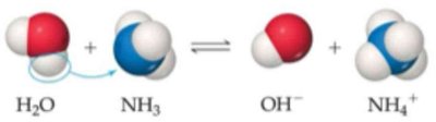 Molecular models showing base reaction with water