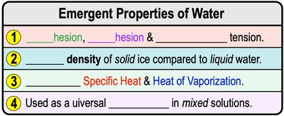 Emergent properties of water