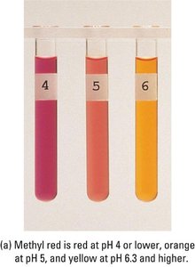 Methyl red color change