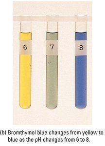 Bromothymol blue color change