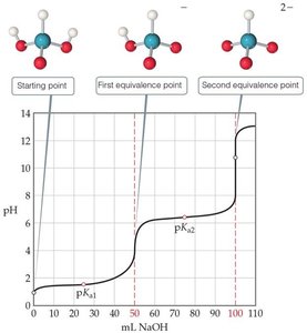 Polyprotic acid titration curve