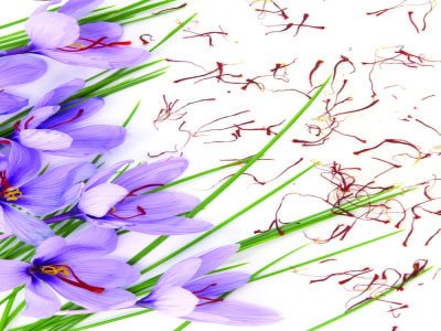 The stamens of crocus flowers are removed and dried for use as the spice saffron.