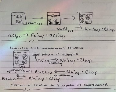 Handwritten notes on solution equilibrium