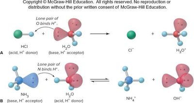 Brønsted-Lowry acid-base reaction