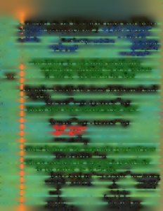 Scientific notation and rounding examples