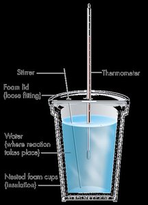 Foam cup calorimeter diagram