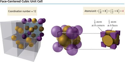 FCC unit cell with coordination number