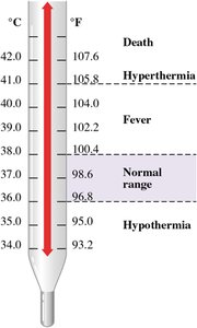 Thermometer showing temperature ranges
