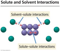 Solute and solvent interactions