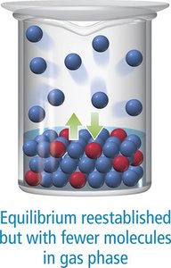 Equilibrium reestablished with fewer molecules in gas phase