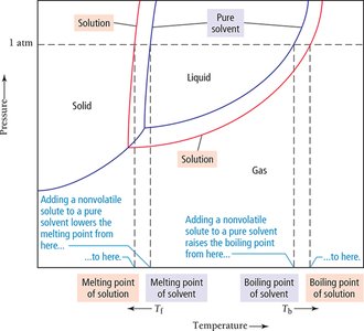 Phase diagram showing boiling point elevation and freezing point depression