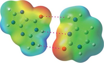 Hydrogen bonding between guanine and cytosine in DNA