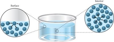 Intermolecular forces in a liquid