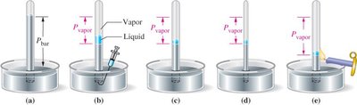 Measuring vapor pressure