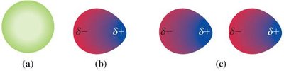 Instantaneous and induced dipoles