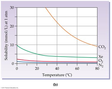 Solubility of gases vs temperature