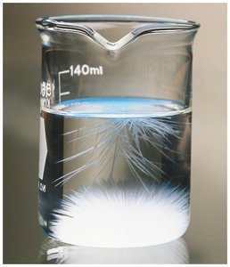 Supersaturated solution with precipitation