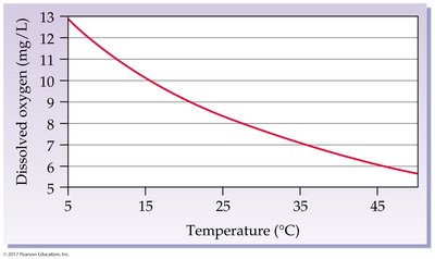 Solubility of oxygen vs temperature