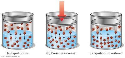 Pressure effect on gas solubility