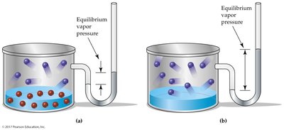 Vapor pressure lowering in solutions