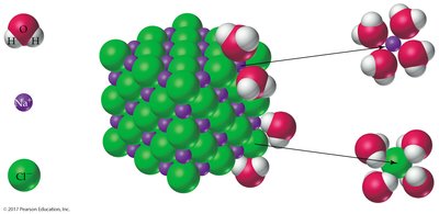 Water molecules surrounding Na+ and Cl- ions