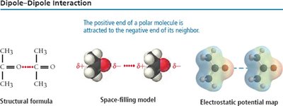 Dipole-dipole interaction diagram