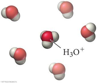 Sulfuric acid as a polyprotic acid