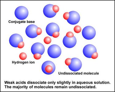 Weak acid dissociating only slightly in solution