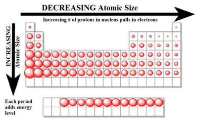 Periodic trend in atomic size