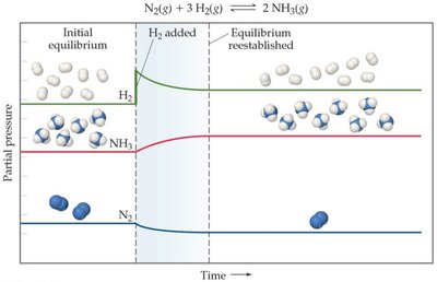 Graph showing effect of adding H2 to a system at equilibrium
