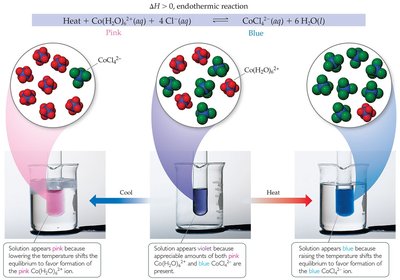 Endothermic equilibrium visualized with color changes