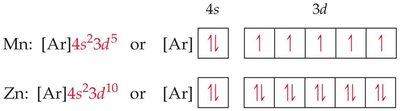 Orbital diagrams for Mn and Zn