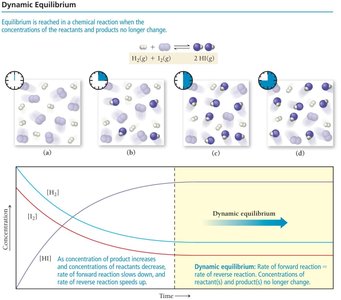 Dynamic equilibrium summary