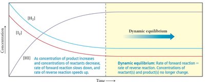 Dynamic equilibrium concentration graph
