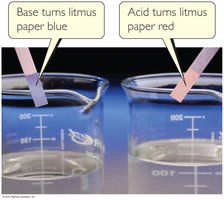 Litmus test for acids and bases