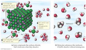Dissolution of ionic and molecular compounds in water