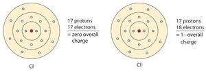 Diagram of Cl atom and Cl- ion showing electron gain